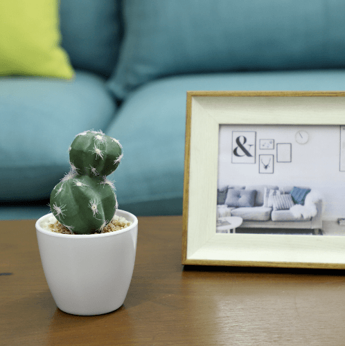 แคคตัสประดิษฐ์  XJLRD-28XRQ สูง 15CM