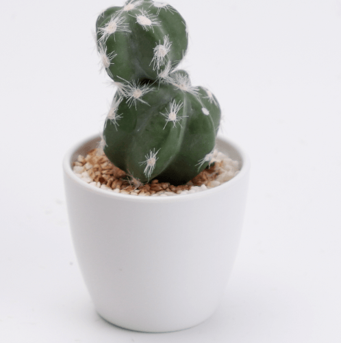 แคคตัสประดิษฐ์  XJLRD-28XRQ สูง 15CM