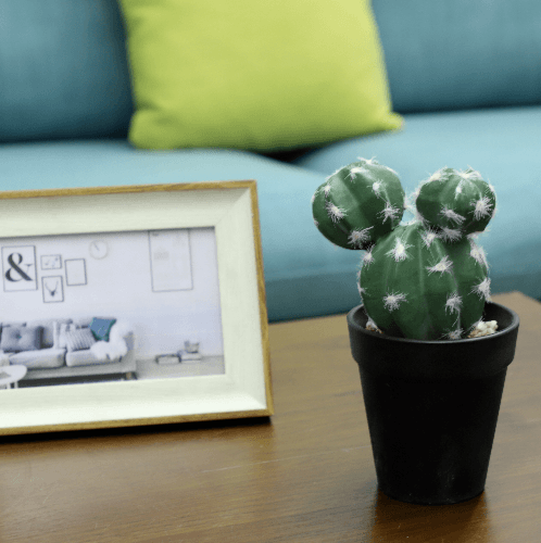 แคคตัสประดิษฐ์  XJLRD-29XRQ สูง 21CM