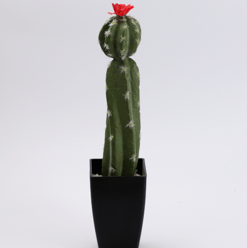 แคคตัสประดิษฐ์  XJLRD-11XHXRZ สูง 45CM