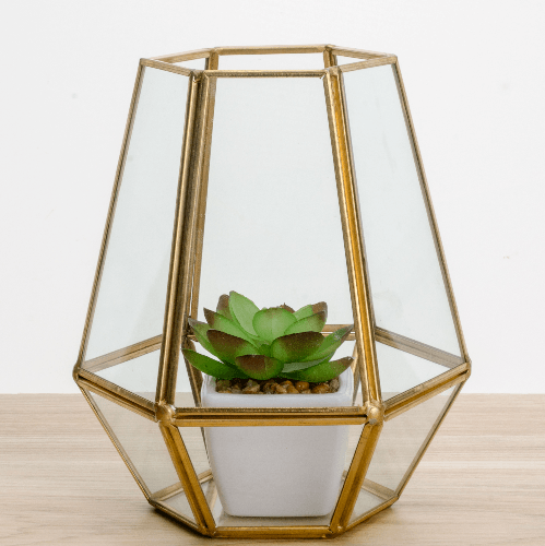 สวนเทอราเรียม JT010 สีทอง