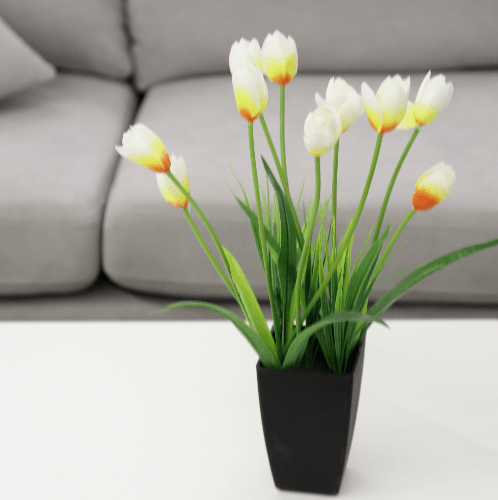 ดอกทิวลิปเทียม สีขาว-เหลือง XJLRD-19-7