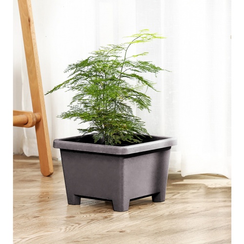 Tree  O กระถางต้นไม้ รุ่น 6PY008-GY ขนาด 27.6 x 27.6 x 19 ซม. (12นิ้ว) สีเทา