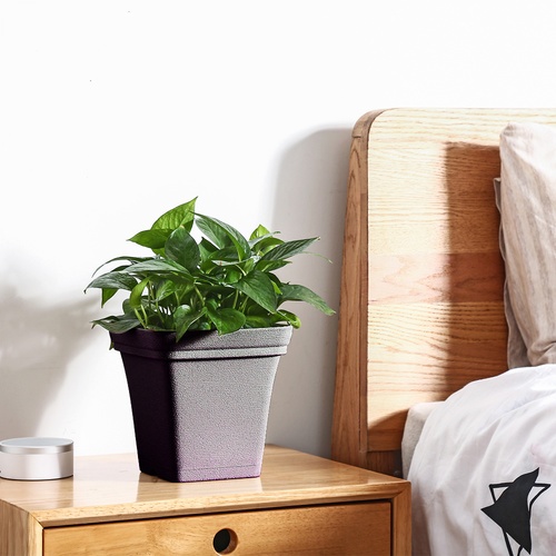 Tree  O กระถางต้นไม้ รุ่น 6PY024-GY ขนาด 25 x 25 x 24 ซม. (10นิ้ว) สีเทา