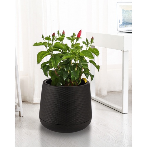 Tree’O กระถางต้นไม้พลาสติก รุ่น 6KD2214-BK ขนาด M สีดำ