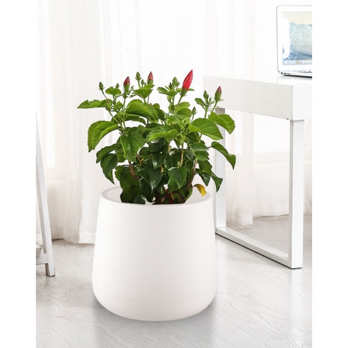Tree’O กระถางต้นไม้พลาสติก รุ่น 6KD2214-WH ขนาด M สีขาว