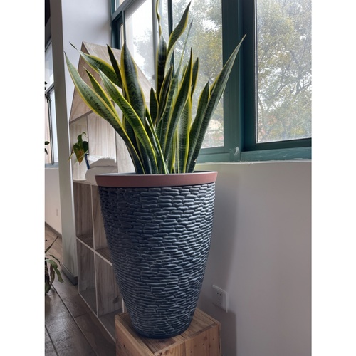 Tree’O กระถางต้นไม้ ขนาด 45x23x57ซม รุ่น PS001-18