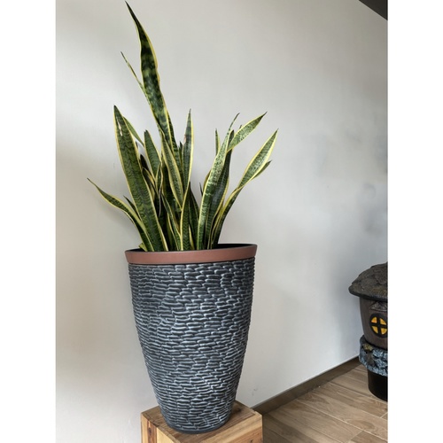 Tree’O กระถางต้นไม้ ขนาด 45x23x57ซม รุ่น PS001-18