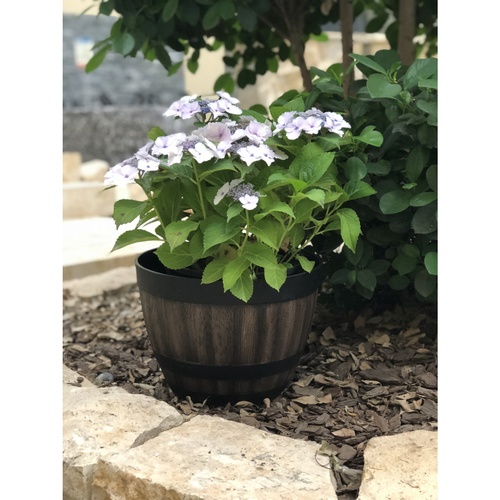 Tree’O กระถางต้นไม้ ขนาด 30x19x22ซม รุ่น JT001-12