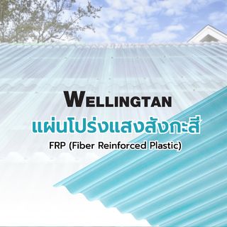 WELLINGTAN แผ่นโปร่งแสงสังกะสี ขนาด 0.5มม.x60ซม.x240ซม.สีฟ้า