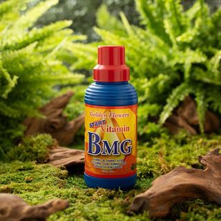 GOLDEN FLOWERS วิตามิน บีเอ็มจี  สูตรเร่งราก