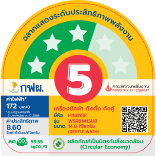 HISENSE เครื่องซักผ้า 2 ถัง ขนาด 14 กก รุ่น WSRB1413UB  สีเทา