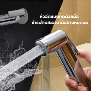 Verno ชุดสายฉีดชำระ รุ่น 6FXQ012 ขนาด 8.2x132x3ซม. สีโครม