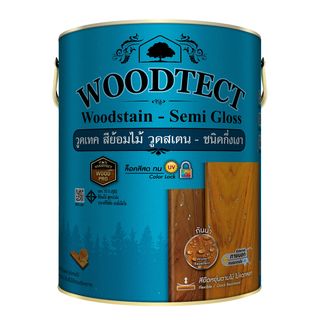 Woodtect วูดเทควูดเสตน WS-201 1 กล. สีสักกึ่งเงา