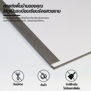 MAC ตัวจบเก็บขอบT4 ขนาด24x5.5มม. ความยาว 2 เมตร STE24*4 สีโอ๊คเทา FDF30