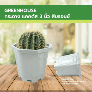 GREENHOUSE กระถาง แคคตัส 3 นิ้ว สีบรอนซ์