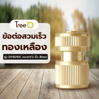 Tree’O Plus ข้อต่อสวมเร็ว ทองเหลือง รุ่นDY8010C ขนาด1/2” สีทอง