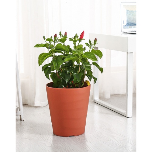 Tree‘O กระถางต้นไม้ทรงกลม รุ่น6PY012-RD ขนาด24x26ซม. (10นิ้ว) สีแดง