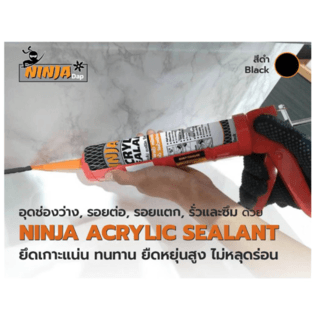 BESBOND นินจาแด๊ป อะคริลิค ซีลแลนท์ 450 กรัม สีดำ