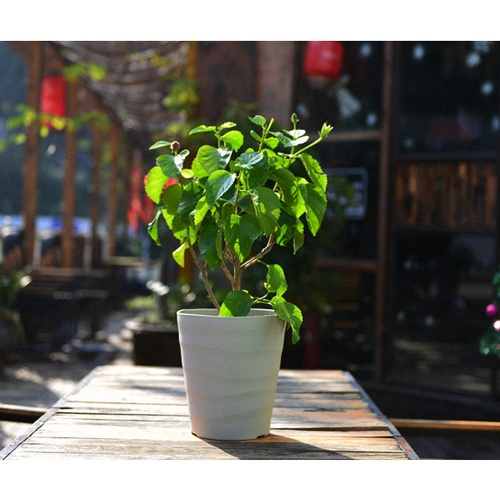 Tree‘O กระถางต้นไม้ทรงกลม รุ่น6PY009-WH ขนาด15x16ซม. (6นิ้ว)  สีขาว