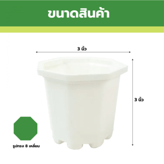 GREENHOUSE กระถาง แคคตัส 3 นิ้ว สีขาว