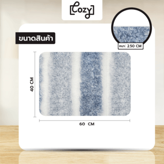 COZY พรมเช็ดเท้าขนนุ่ม รุ่น LOBBY-01 ขนาด 50× 80× 2.5ซม. สีฟ้า