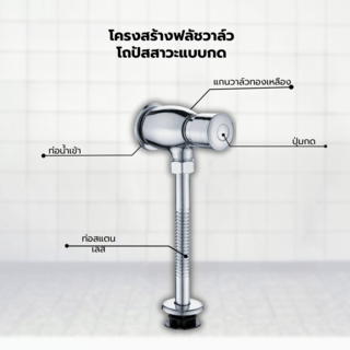 Verno ฟลัชวาล์วโถปัสสาวะแบบกด รุ่น C01 ขนาด 20x15x5 ซม. สีโครม