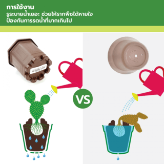 GREENHOUSE กระถาง แคคตัส 3 นิ้ว สีน้ำตาล