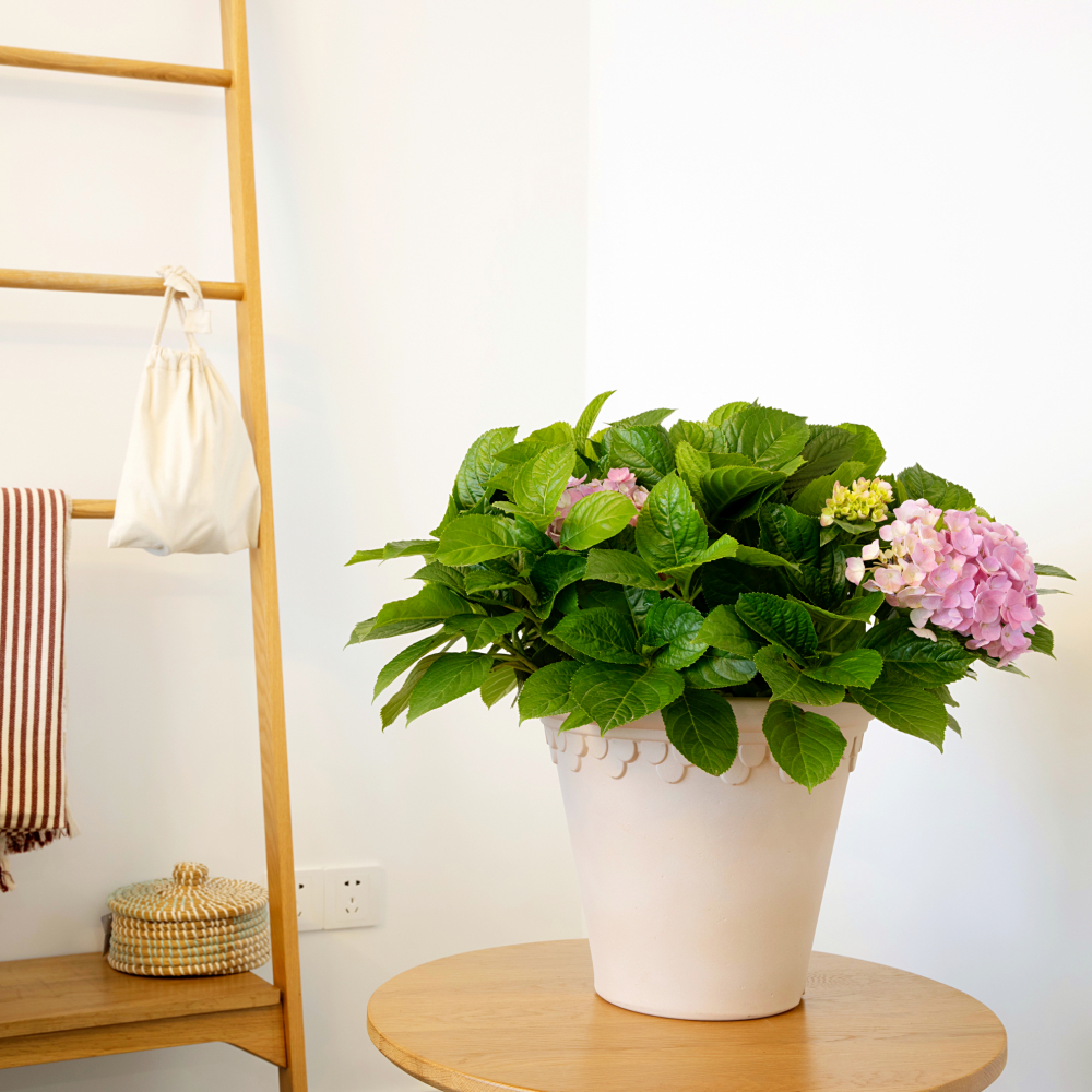 Tree’O กระถางต้นไม้ ขนาด 29x17x26ซม รุ่น MN001-12