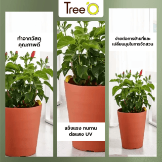 Tree‘O กระถางต้นไม้ทรงกลม รุ่น6PY012-RD ขนาด24x26ซม. (10นิ้ว) สีแดง