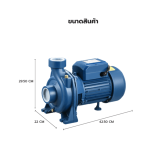 MIZUMA ปั้มหอยโข่ง 2Hp 1500W รุ่น CFm2 1.5M