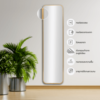 Nice กระจกมีกรอบอะลูมิเนียมทรงเหลี่ยม รุ่น อาเมเรีย-โกลว ขนาด 30x120 ซม. สีทอง 