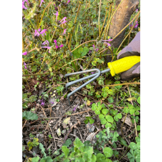 POLLO คราดเล็ก รุ่นGP3092 ขนาด 24x9.5x4ซม.สีเขียว