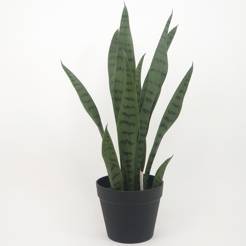 TreeO ต้นลิ้นมังกร ประดิษฐ์  สูง 50CM รุ่น AL17T090 สีเขียว