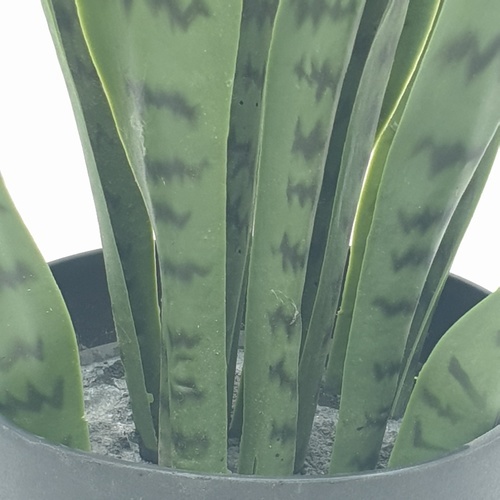 TreeO ต้นลิ้นมังกร ประดิษฐ์  สูง 50CM รุ่น AL17T090 สีเขียว