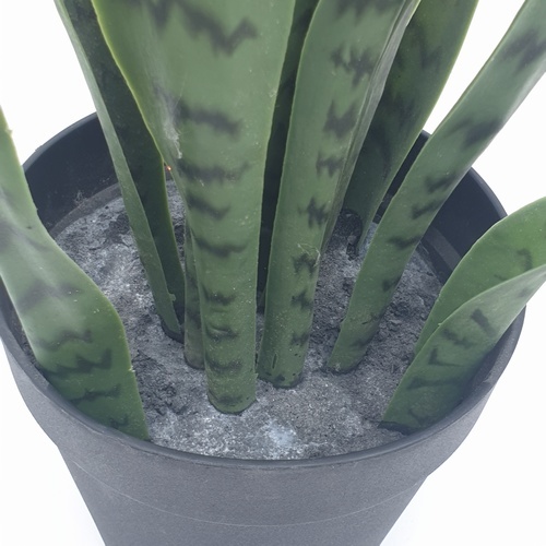 TreeO ต้นลิ้นมังกร ประดิษฐ์  สูง 50CM รุ่น AL17T090 สีเขียว