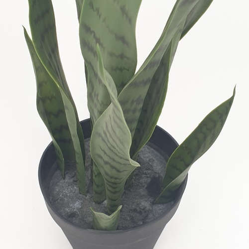 TreeO ต้นลิ้นมังกร ประดิษฐ์  สูง 50CM รุ่น AL17T090 สีเขียว