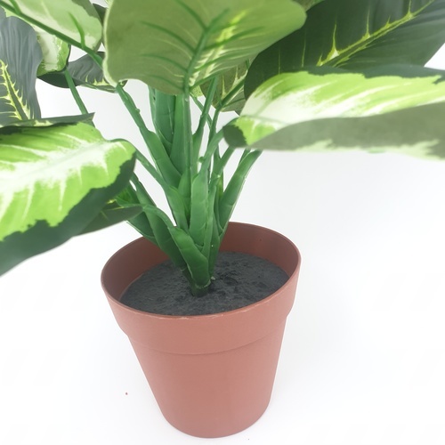 TreeO ต้นสาวน้อยประแป้ง ประดิษฐ์ สูง 40CM รุ่น AL17T093