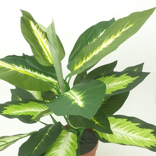 TreeO ต้นสาวน้อยประแป้ง ประดิษฐ์ สูง 40CM รุ่น AL17T093