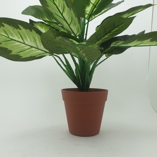 TreeO ต้นสาวน้อยประแป้ง ประดิษฐ์ สูง 40CM รุ่น AL17T093