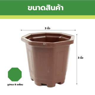 GREENHOUSE กระถาง แคคตัส 3 นิ้ว สีน้ำตาล