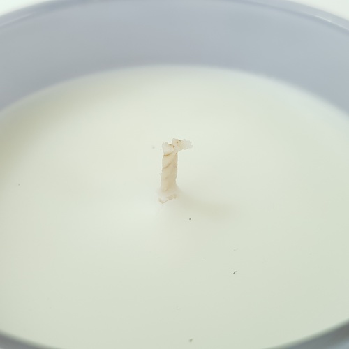 COZY เทียนหอม Velvet Orchid 8.2x9.8 ซม. สีฟ้า