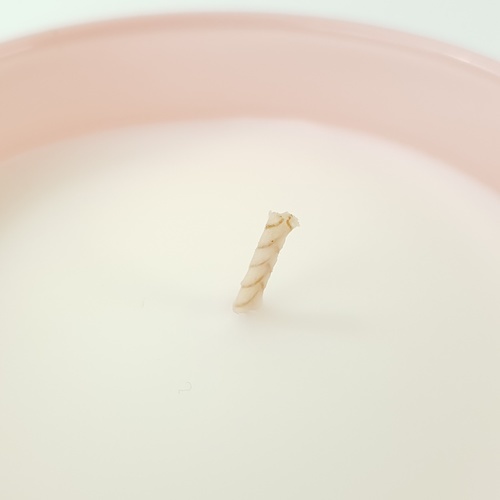 COZY เทียนหอม Peony & Blush Suede  8.2x9.8 ซม. สีชมพู