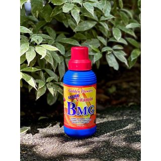 GOLDEN FLOWERS วิตามิน บีเอ็มจี  สูตรเร่งราก