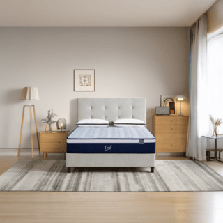 Truffle ที่นอนพ็อกเก็ตสปริง รุ่น Angelina ขนาด 180x200x21 ซม. (6ฟุต) สีขาว-น้ำเงิน