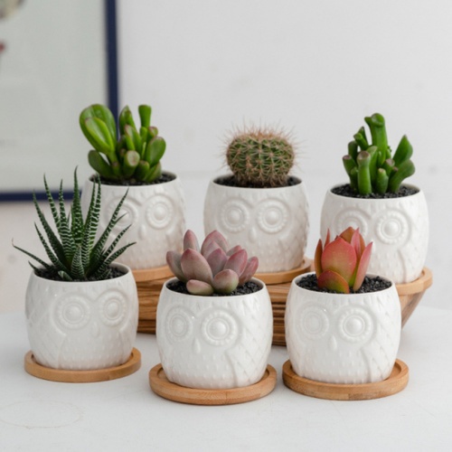 Tree’O กระถางเซรามิก นกฮูกพร้อมจานรอง รุ่น 4LY-003 สีขาว