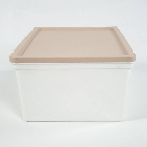 SAKU กล่องรองเท้าฝาหน้า ขนาด 34x23.5x14ซม. รุ่น TG54959 สีเบจ