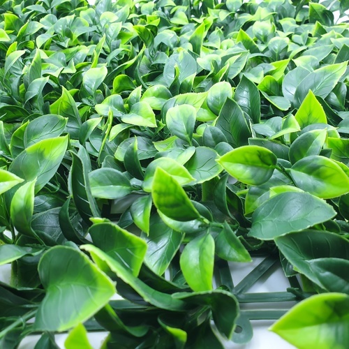 ต้นไม้เทียมติดผนัง รุ่น MZ188024C ขนาด 50×50×3 ซม.  สีเขียว Tree‘O