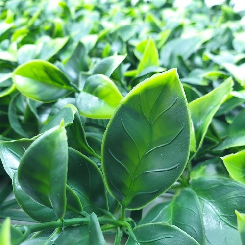 ต้นไม้เทียมติดผนัง รุ่น MZ188024C ขนาด 50×50×3 ซม.  สีเขียว Tree‘O