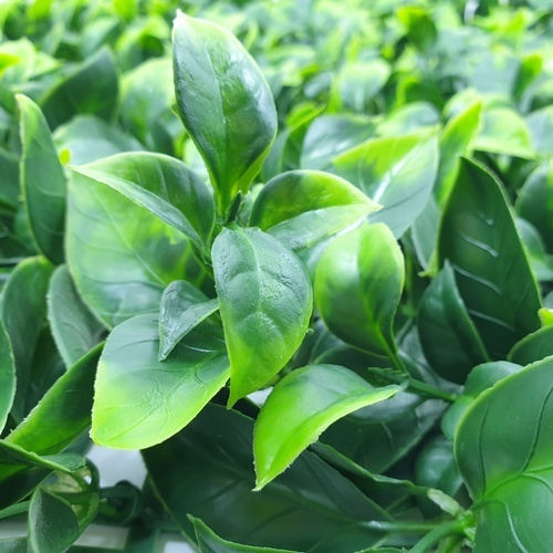 ต้นไม้เทียมติดผนัง รุ่น MZ188024C ขนาด 50×50×3 ซม.  สีเขียว Tree‘O